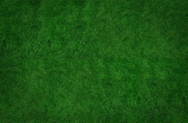 istock green grass banner for background 1391248867