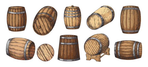 ilustrações de stock, clip art, desenhos animados e ícones de wooden cask. sketch of vintage beer keg. old rum, whiskey and wine barrel. alcohol drinks storage. isolated winemaker beverage tanks. vector hand drawn brewery or winery containers set - vintner