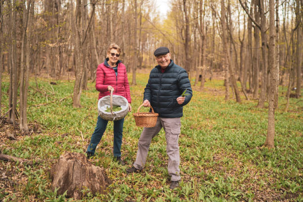 istock Friendly seniors with baskets full of ramson outdoors in forest 1391250334