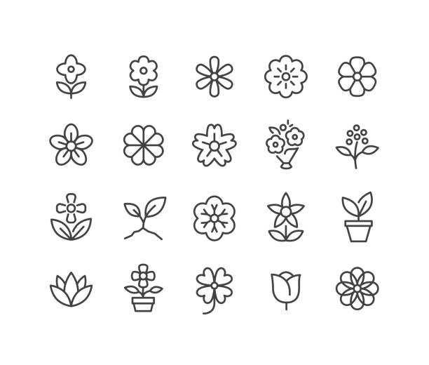 illustrations, cliparts, dessins animés et icônes de icônes de fleurs - série classic line - lily pad bloom