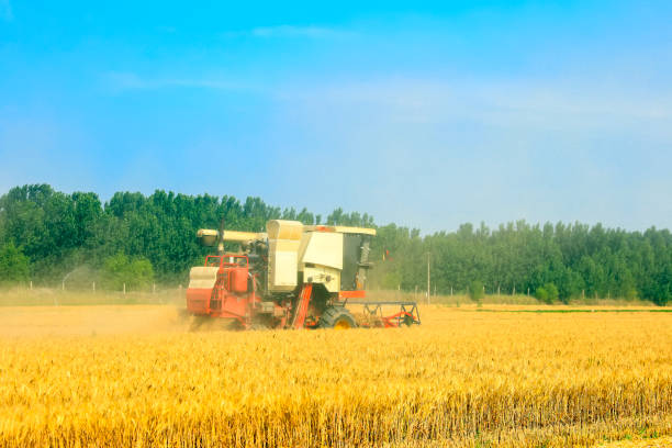 istock combine harvester working on a wheat field 1391251527