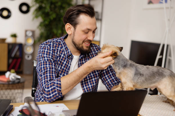 istock A smiling man with a disability strokes his dog during a break at work. Documents and a laptop lie next to him. A modern living room can be seen in the background 1391251619