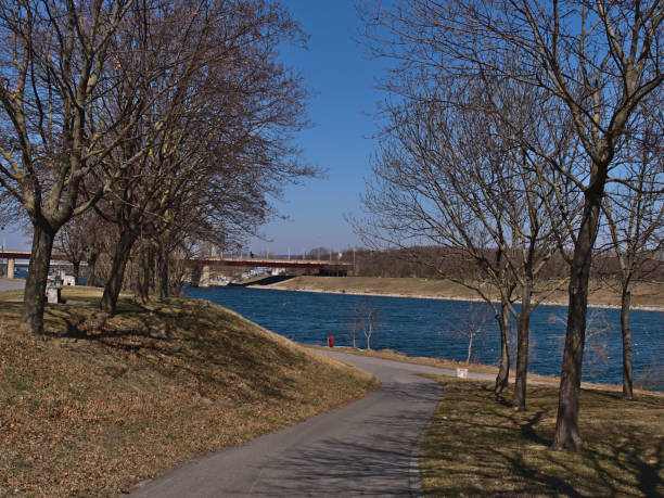 View of paved footpath on Danube Island, an artificial island in the center of Vienna, Austria, on sunny day in spring with brown grass and bare trees. stock photo