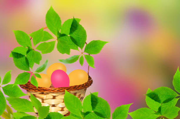 Beautiful Easter background with Easter eggs in a wicker basket and green grape leaves on an abstract colorful background with green grass