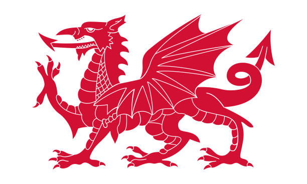 red dragon - welsh flag stock-grafiken, -clipart, -cartoons und -symbole