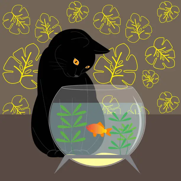 Vector illustration of A black cat looks at a goldfish in an aquarium. Cute black cat near the aquarium. Vector illustration