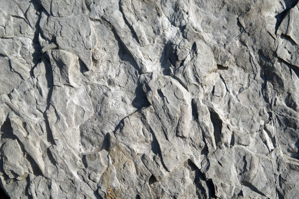 istock Cross section of rock 1391257239