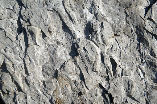 Cross section of rock  backgrpunds