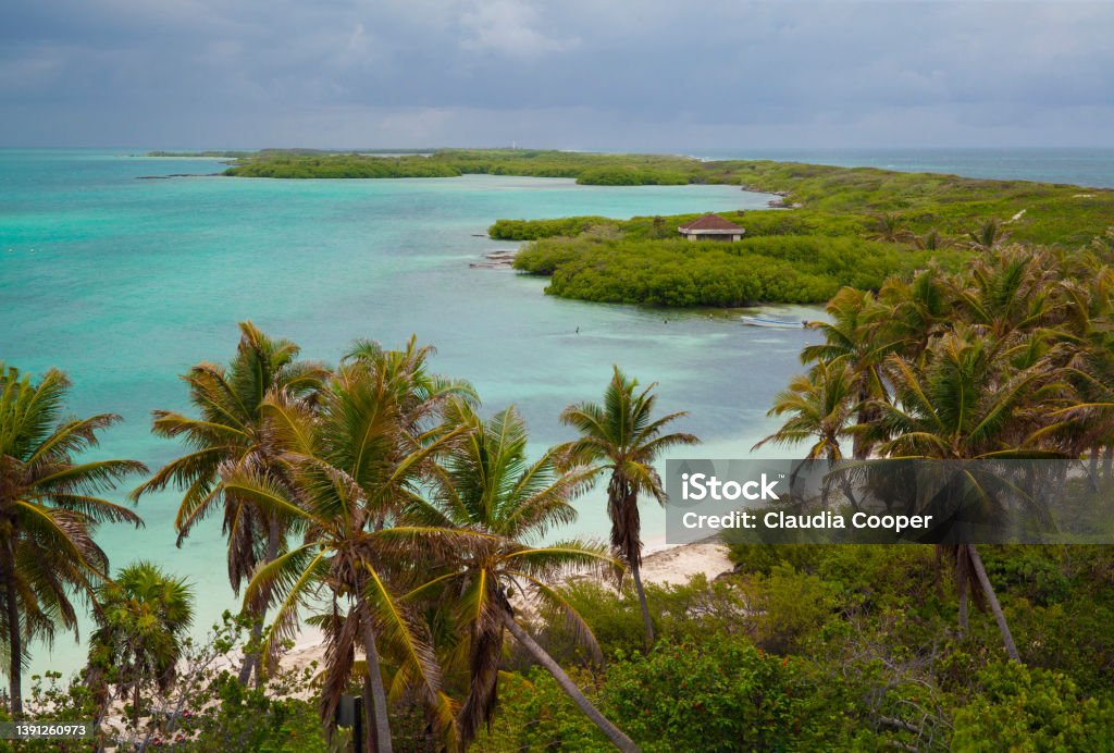 Overhead view of beautiful, lush, tropical Contoy Island, a small island in the Caribbean near Cancun, Mexico Bay of Water Stock Photo