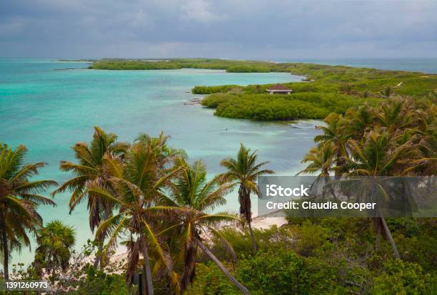 Overhead View Of Beautiful Lush Tropical Contoy Island A Small Island In The Caribbean Near Cancun Mexico Stock Photo - Download Image Now