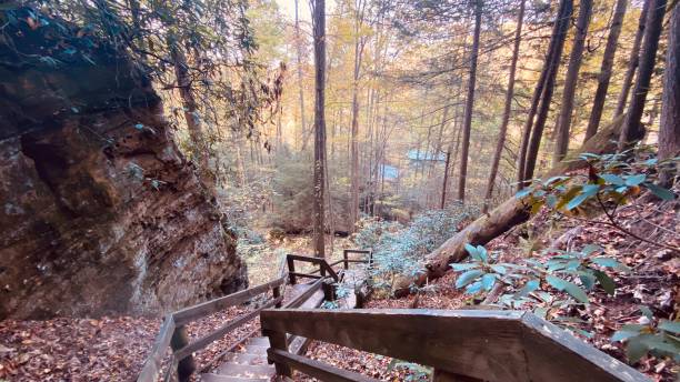 istock Stairs to Autumn 1391262001