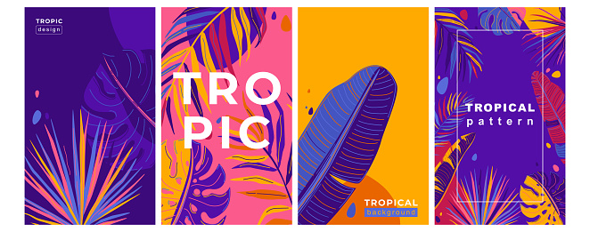 Tropic summer pattern vector set with jungle exotic leaves in simple minimal flat style. Abstract tropical cover design. Bright color.