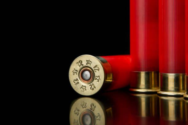 istock Shotgun shells on a black reflective surface. Ammunition for 12 gauge smoothbore weapons. Hunting ammunition. Dark background. 1391271078