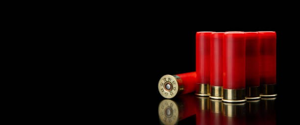 istock Shotgun shells on a black reflective surface. Ammunition for 12 gauge smoothbore weapons. Hunting ammunition. Dark background. 1391271079