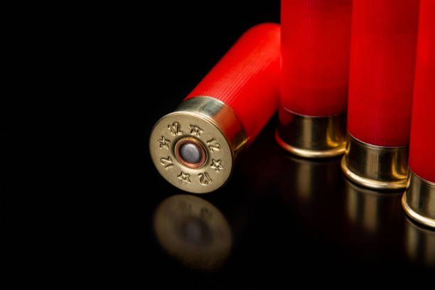 istock Shotgun shells on a black reflective surface. Ammunition for 12 gauge smoothbore weapons. Hunting ammunition. Dark background. 1391271080
