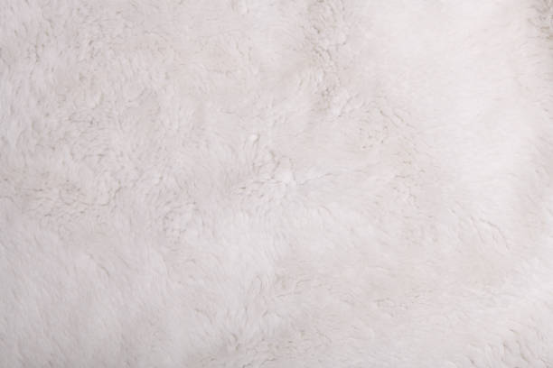 istock White faux fur texture background fragment 1391273687
