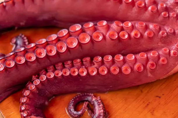 Photo of Octopus tentacles cooked Pulpo a Feira style, recipe from Galicia, Spain.