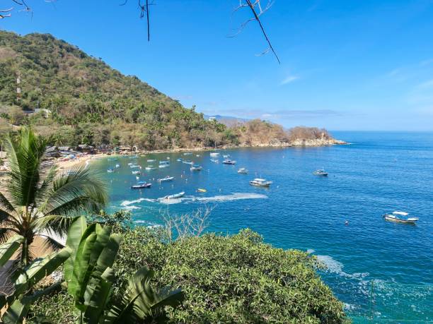 istock A Paradise on the Pacific Coast 1391276379