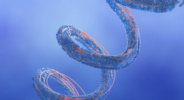 Chain of Amino Acid stock photo