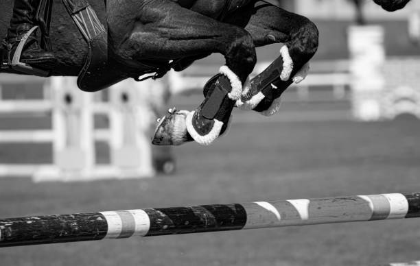 istock Jumping horse legs detail 1391277651