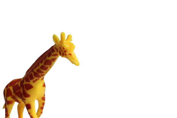 istock toy yellow plastic giraffe stands on a white background 1391278353