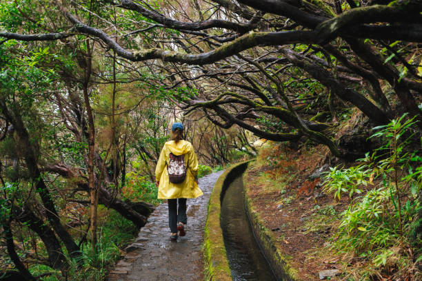 Woman hiking along a levada in Madeira Island Portugal stock photo