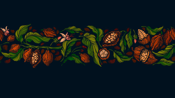 Cocoa border. Dark chocolate. Vector graphic beans Cocoa border. Dark chocolate. Vector graphic bean, branch, aroma fruit. Art bright seamless band on black background. Organic aroma butter, natural sweet food. Vintage pattern theobroma stock illustrations