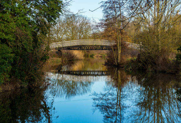 The Steel footbridge over the River Stort, or Lee & Stort Navigation, on a summers day with local trees reflecting in the still water. A great walk in Harlow Park.