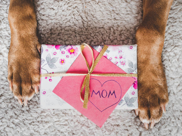 istock Lovable, adorable brown puppy and gift box 1391285752