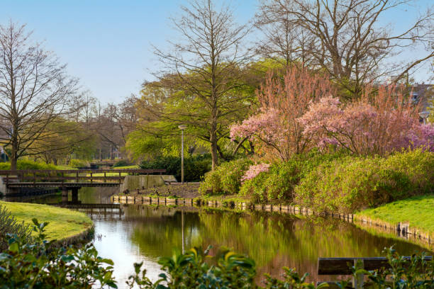 istock Beautiful spring landscape. Canal with a bridge and blossoming trees along the shore. 1391287191