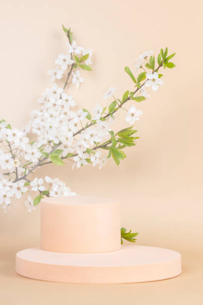 istock Geometric podium platform stand for product presentation and spring flowering tree branch with white flowers on pastel beige background. Front view 1391287944