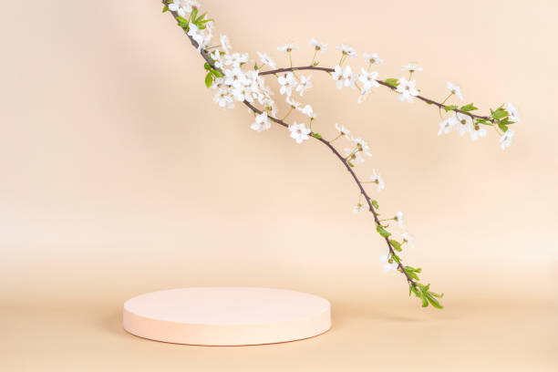 istock Podium platform for product presentation and spring flowering tree branch with white flowers on pastel background 1391287981