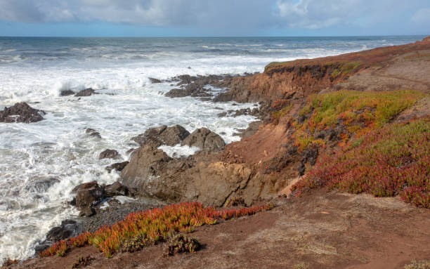 central california rocky coast at fiscalini ranch preserve at cambria california united states - mountain mountain range bluff cliff imagens e fotografias de stock