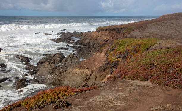 small walking path called bluff trail on the rocky central california coastline at cambria california united states - mountain mountain range bluff cliff imagens e fotografias de stock