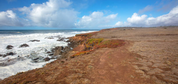 curving bluff trail on the rugged central california coastline at cambria california united states - mountain mountain range bluff cliff imagens e fotografias de stock