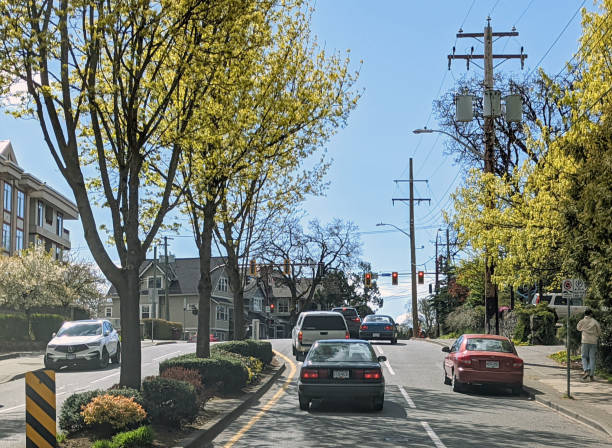 quadra street en victoria, columbia británica, canadá - canada urban scene stoplight clear sky fotografías e imágenes de stock