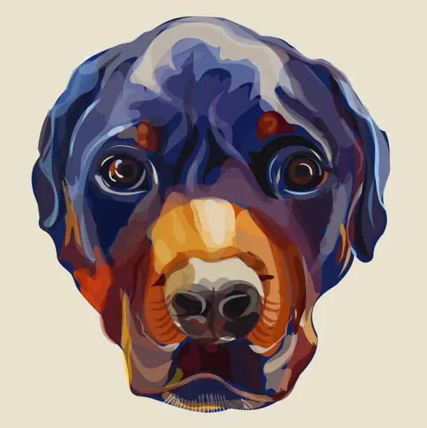 Vector illustration of Portrait of Rottweiler Dog