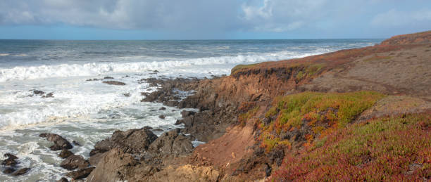 rocky coastline at fiscalini ranch preserve on the rugged central california coastline at cambria california united states - mountain mountain range bluff cliff imagens e fotografias de stock