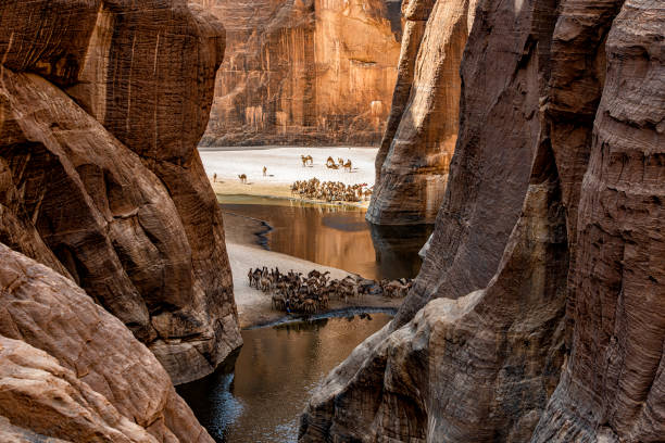 vista a la legendaria guelta d'arche, macizo de ennedi, sahara, chad - mountain famous place livestock herd fotografías e imágenes de stock