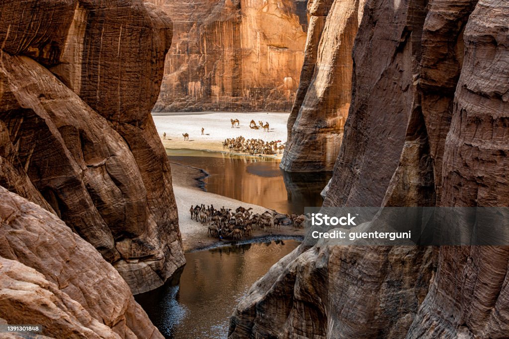 View into the legendary Guelta d’Archeï, Ennedi massif, Sahara, Chad View into the legendary Guelta d’Archeï, the mystic spring of water inside the remote Ennedi Mountains in the Sahara desert, North-East Chad. This place is since centuries one of the main sources of water for the Tubu people and their camel herds. The Ennedi massif was declared as an UNESCO World Heritage site in 2016. Ennedi Massif Stock Photo