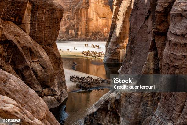 View Into The Legendary Guelta Darcheï Ennedi Massif Sahara Chad Stock Photo - Download Image Now