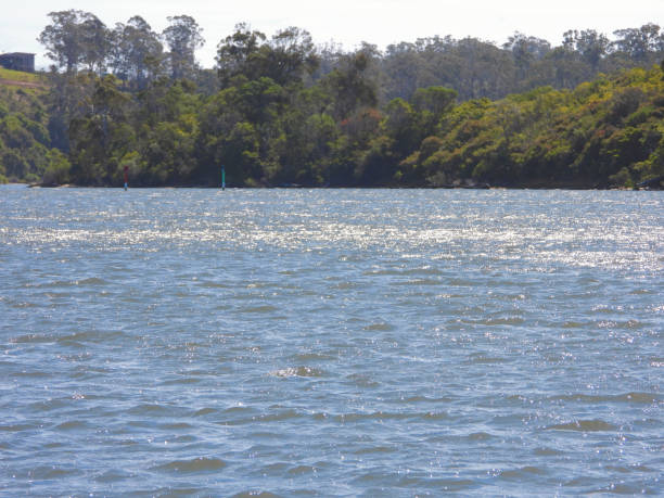istock Lakes Entrance,  Victoria,  Australia 1391303848