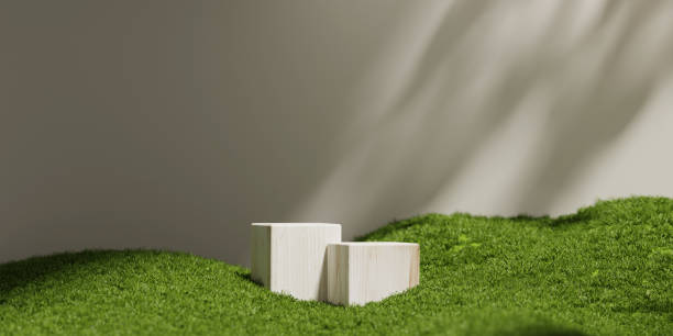 istock 3D display podium beige background with natural green grass and sun shadow.  Nature minimal wood pedestal, beauty, cosmetic product presentation. Spring, summer landscape banner template 3d render. 1391304977