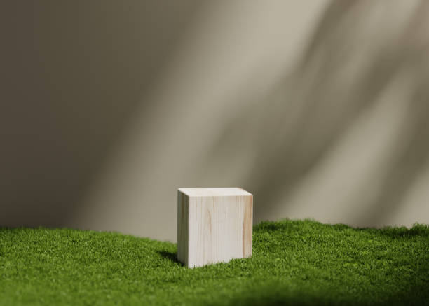 istock 3D display podium beige background with natural green grass and sun shadow.  Nature minimal wood pedestal, beauty, cosmetic product presentation. Spring, summer landscape banner template 3d render. 1391304982