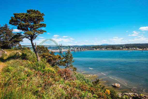 istock Yaquina Bay Bridge - Newport, Oregon 1391305576