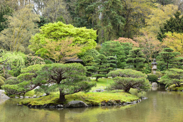 istock Springtime at the Japanese Garden 1391319163