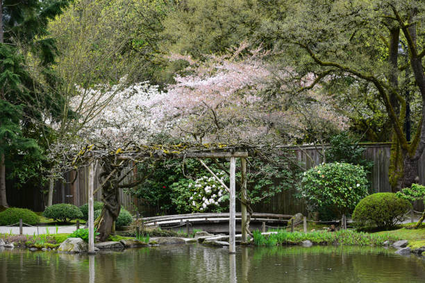 istock Springtime at the Japanese Garden 1391319167