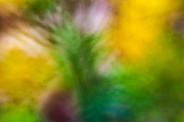Blurred background of flowers and leaves