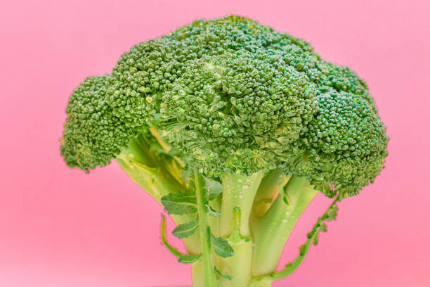 istock Fresh and Raw Broccoli Against the Pink Background. Uncooked Green Cabbage 1391323792