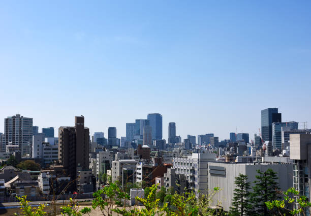 istock Tokyo at fine day 1391328164